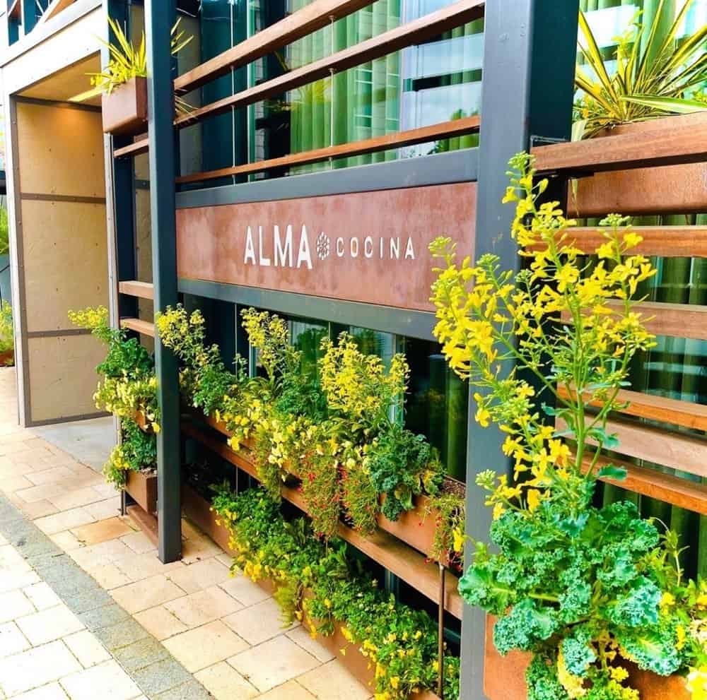 The exterior of Alma Cocina restaurant features a wooden and metal structure with planters filled with green and yellow leafy plants.