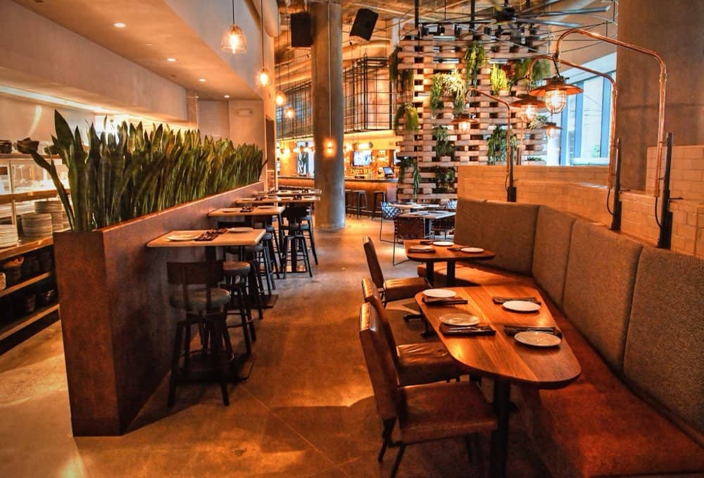 A modern restaurant interior with wooden tables, cushioned booth seating, bar stools, potted plants, and warm ambient lighting.